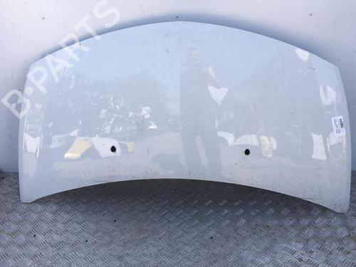 Used Hood RENAULT CLIO III (BR0/1, CR0/1) 1.6 16V (BR05, BR0B, BR0Y, BR15, BR1J, BR1M, BR1Y, CR0B,... (112 hp) 22111308