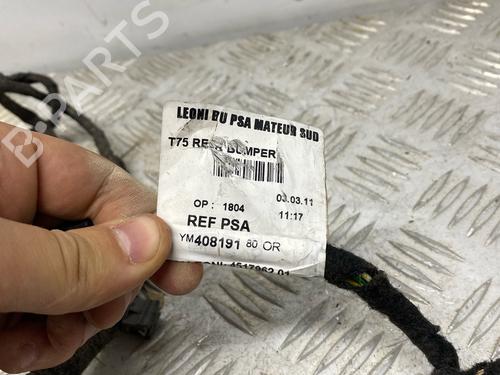 Electronic module PEUGEOT RCZ 2.0 HDi | BP38258580M83 - Image 3