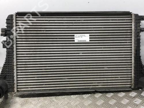 Intercooler AUDI A3 Sportback (8PA) 1.6 TDI (105 hp) 19913044