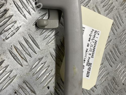 Interior roof handle RENAULT CLIO V (B7_) 1.5 Blue dCi 85 (B7AG) | BP29477690I35 