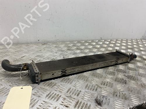 Water radiator RENAULT CLIO V (B7_) 1.5 Blue dCi 85 (B7AG) | BP39702906M31 - Image 3