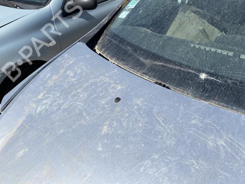 Hood RENAULT CLIO III (BR0/1, CR0/1)  | BP27981925C1 