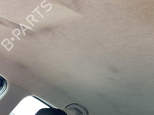 Used Interior roof Interior roof FIAT PUNTO (199_) 1.3 D Multijet (95 hp) 24503468 24503468