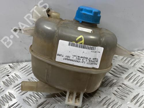 Expansion tank PEUGEOT BIPPER (AA_) 1.3 HDi 75 | BP22112963C120