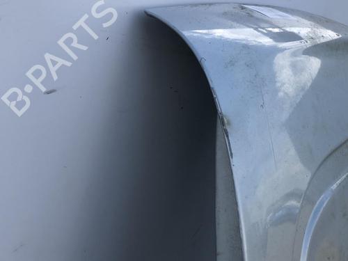 Left tailgate RENAULT KANGOO Express (FC0/1_) 1.5 dCi (FC07, FC1R) | BP22111332C76 