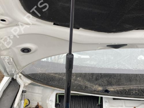 Used Hood lift support AUDI A3 Sportback (8VA, 8VF) 30 TDI (115 hp) 23785438