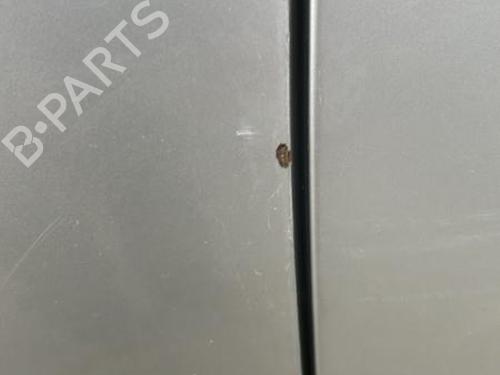 Used Left front door RENAULT CLIO III (BR0/1, CR0/1) 1.5 dCi (BR17, CR17) (86 hp) 22119248