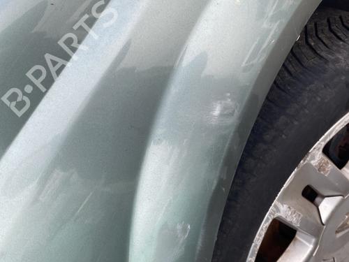 Błotnik przedni prawy RENAULT MEGANE II Coupé-Cabriolet (EM0/1_) 1.9 dCi | BP29910778C42