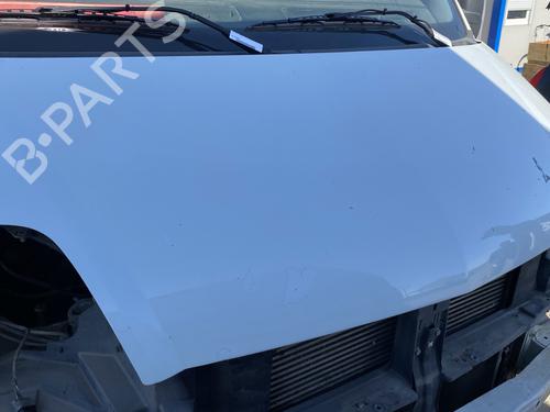 Used Hood RENAULT MASTER II Van (FD) 2.5 dCi 100 (FD0U, FD0V) (99 hp) 24983070