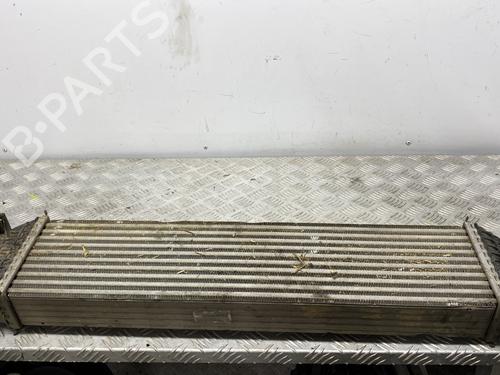 Intercooler FORD KUGA II (DM2) 2.0 TDCi | BP30133069M30