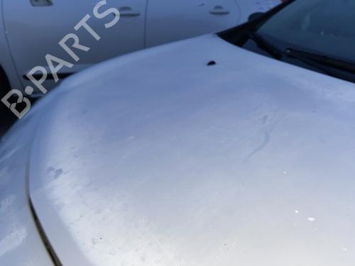 hood-renault-clio-iii-br01-cr01-2005-2006-2007-2008-2009-2010-2011-2012-2013-2014-30261100 main image