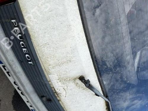 Used Tailgate PEUGEOT 205 II (20A/C) 1.7 Diesel (60 hp) 22120056