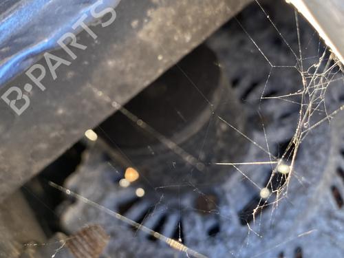 Used Alternator Alternator RENAULT SCÉNIC II (JM0/1_) 2.0 dCi (JM1K) (150 hp) 29013074 29013074