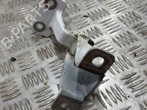 Hinge/Door check strap RENAULT KANGOO Express (FW0/1_)  | BP22113396C146 