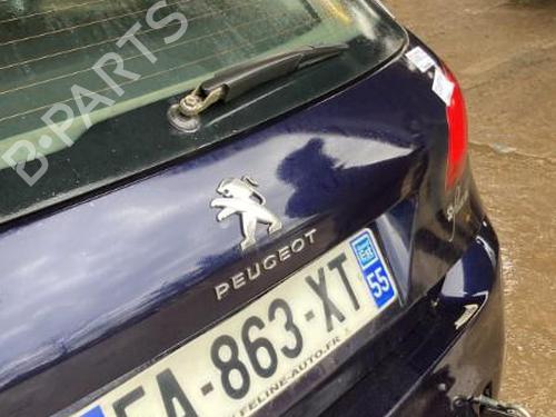 Tailgate PEUGEOT 308 II (LB_, LP_, LW_, LH_, L3_) 1.5 BlueHDI 100 | BP20174018C6 