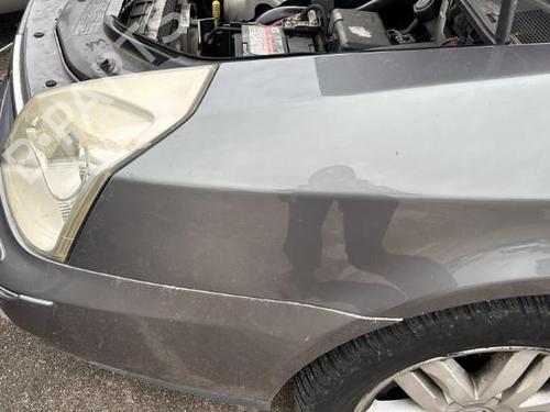 Left front fenders RENAULT VEL SATIS (BJ0_) 2.2 dCi (BJ0E, BJ0F, BJ0G, BJ0H) | BP22116606C41