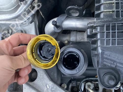 Engine RENAULT CLIO II (BB_, CB_) 1.5 dCi (B/CB07) | BP30732887M1