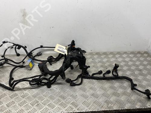 Wiring harness CITROËN C4 Picasso II 1.6 HDi / BlueHDi 115 | BP30085543E16