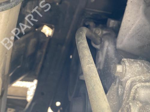 Remskive DACIA LOGAN MCV II TCe 90 (K8M1, K8MA, K8AC) (90 hp) 31041511