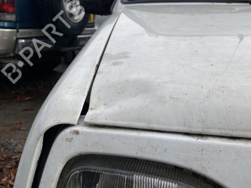 Hood RENAULT RAPID Box Body/MPV (F40_, G40_) Electric | BP22114801C1