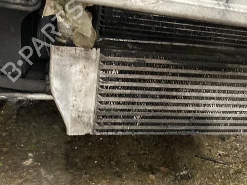Frontplade/Frontkurv RENAULT GRAND SCÉNIC II (JM0/1_) 2.0 dCi (JM1K) | BP29959059C72