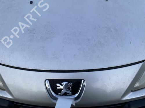 BP31969665C1 main image