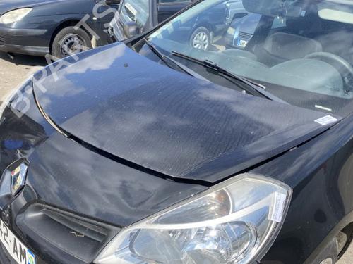Hood RENAULT CLIO III (BR0/1, CR0/1) 1.2 16V | BP21825852C1 