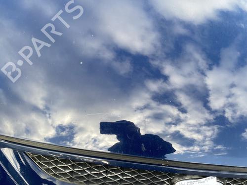 Hood FORD S-MAX (WA6) 2.0 TDCi | BP32321914C1 