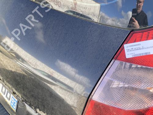 Tailgate RENAULT GRAND SCÉNIC II (JM0/1_) 1.9 dCi (JM0G, JM12, JM1G, JM2C) | BP25221442C6 