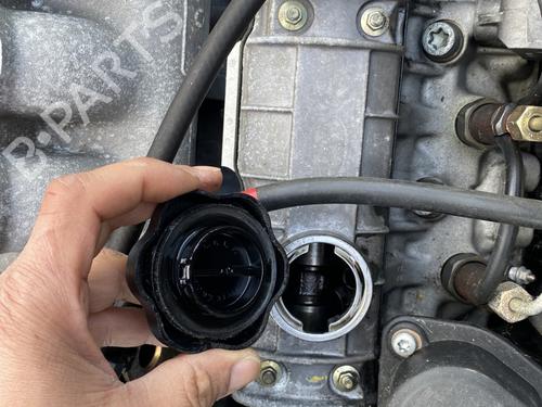 Engine RENAULT CLIO I (B/C57_, 5/357_) 1.9 D (B/C/S576, B/C/S57L) | BP30172192M1