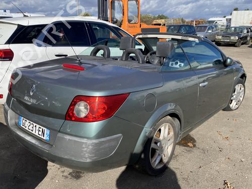 Rat RENAULT MEGANE II Coupé-Cabriolet (EM0/1_) 1.9 dCi | BP29910798C49