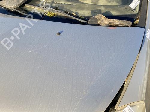 Hood RENAULT CLIO III (BR0/1, CR0/1) 1.5 dCi (BR17, CR17) | BP29571767C1 
