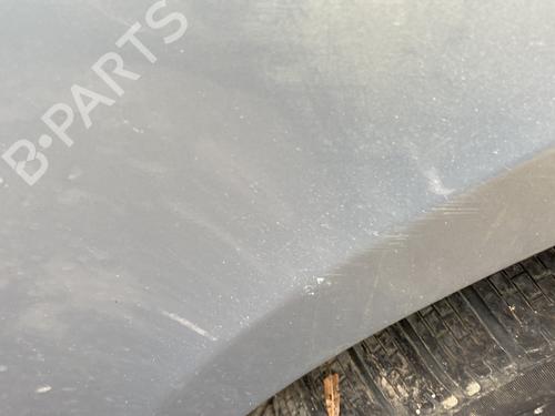 Right front fenders RENAULT AVANTIME (DE0_) 2.2 dCi (DE01) | BP29748587C42
