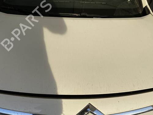 BP31041466C1 main image