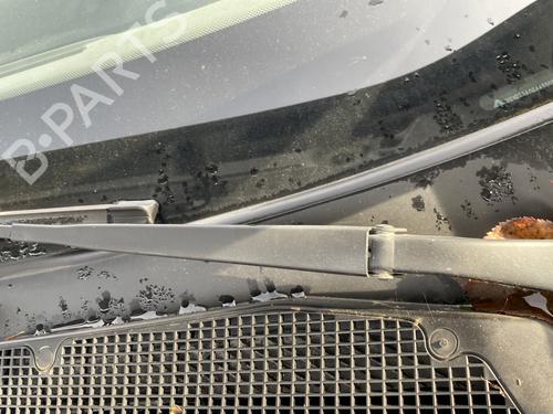 Viskermotor vindrude RENAULT MEGANE III Hatchback (BZ0/1_, B3_) 1.5 dCi (BZ09, BZ0D, BZ1W, BZ29, BZ14) (110 hp) 29893541