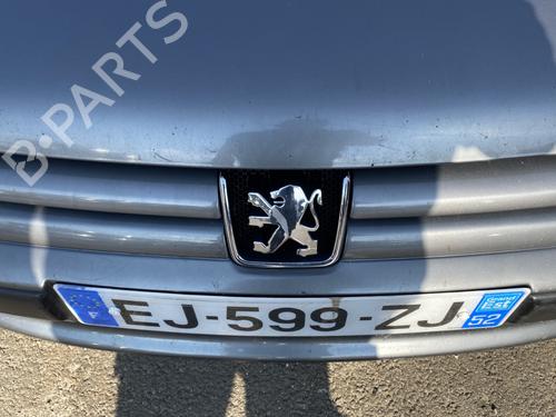 Used Grille PEUGEOT 406 (8B) 1.8 16V (110 hp) 29269882