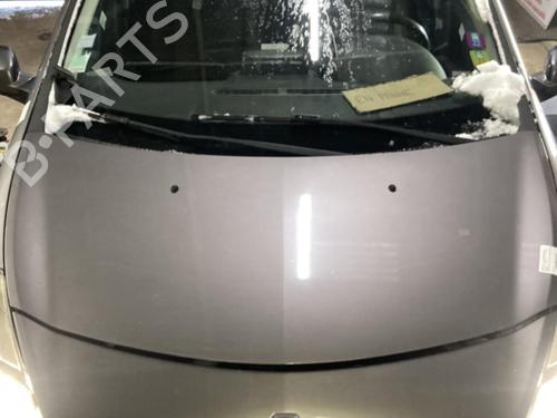 Hood RENAULT CLIO III (BR0/1, CR0/1) 1.5 dCi (BR17, CR17) | BP22115887C1