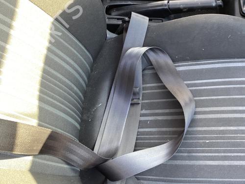 Front right belt tensioner FIAT PUNTO (199_) 1.3 D Multijet | BP30170262C88 