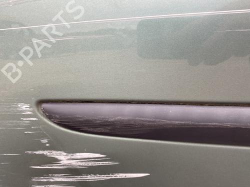 door-moulding-trim-renault-clio-iii-br01-cr01-2005-2006-2007-2008-2009-2010-2011-2012-2013-2014-30816839 main image