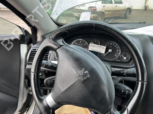 Rat PEUGEOT 407 Coupe (6C_) 2.7 HDi (204 hp) 19904817