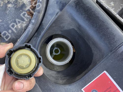 Used Engine Engine RENAULT MEGANE II (BM0/1_, CM0/1_) 1.9 dCi (BM0G, CM0G) (120 hp) 32481466 32481466