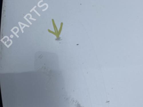Used Hood RENAULT CLIO III (BR0/1, CR0/1) 1.5 dCi (C/BR0G, C/BR1G) (68 hp) 27304359