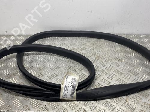 Gummiliste RENAULT MEGANE IV Hatchback (B9A/M/N_) 1.2 TCe 130 (B9MR) (130 hp) 31580778