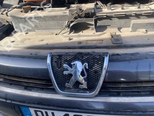 Used Grille Grille 39215381 39215381