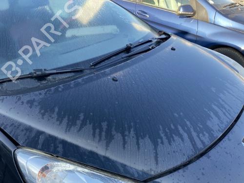 Used Hood PEUGEOT 207 CC (WD_) 1.6 16V (120 hp) 22126082