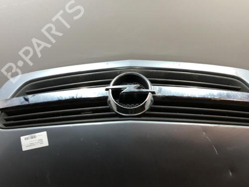 Hood OPEL ZAFIRA / ZAFIRA FAMILY B (A05) 1.7 CDTI (M75) | BP22110313C1 