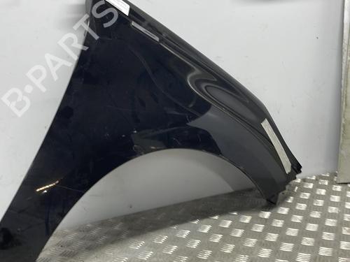 Right front fenders RENAULT SCÉNIC III (JZ0/1_) 1.5 dCi | BP19903758C42 