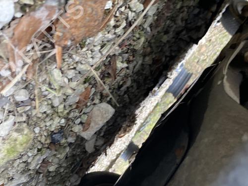 Steering rack RENAULT CLIO II (BB_, CB_) 1.5 dCi (B/CB07) | BP31655135M22