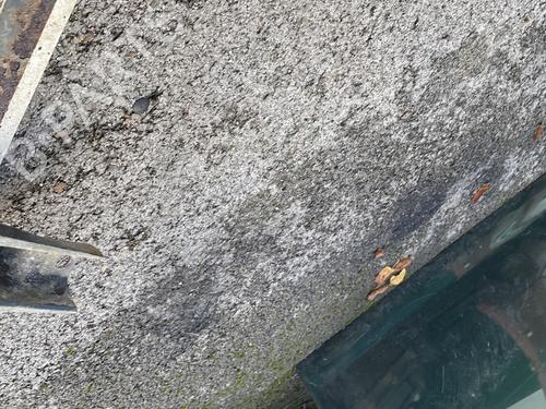 Rear bumper RENAULT MASTER I Van (T__) 28-35 2.0 | BP29971785C8