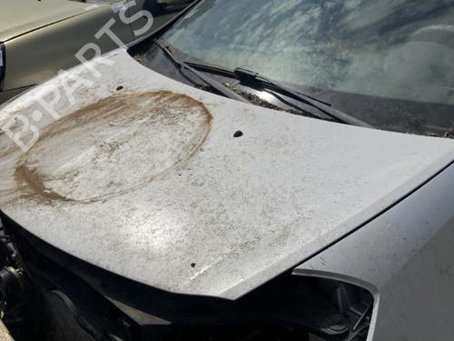 Hood RENAULT CLIO III (BR0/1, CR0/1) 1.5 dCi (C/BR0G, C/BR1G) | BP19906709C1 